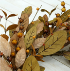 Amber Magnolia & Berry Wreath — 20"